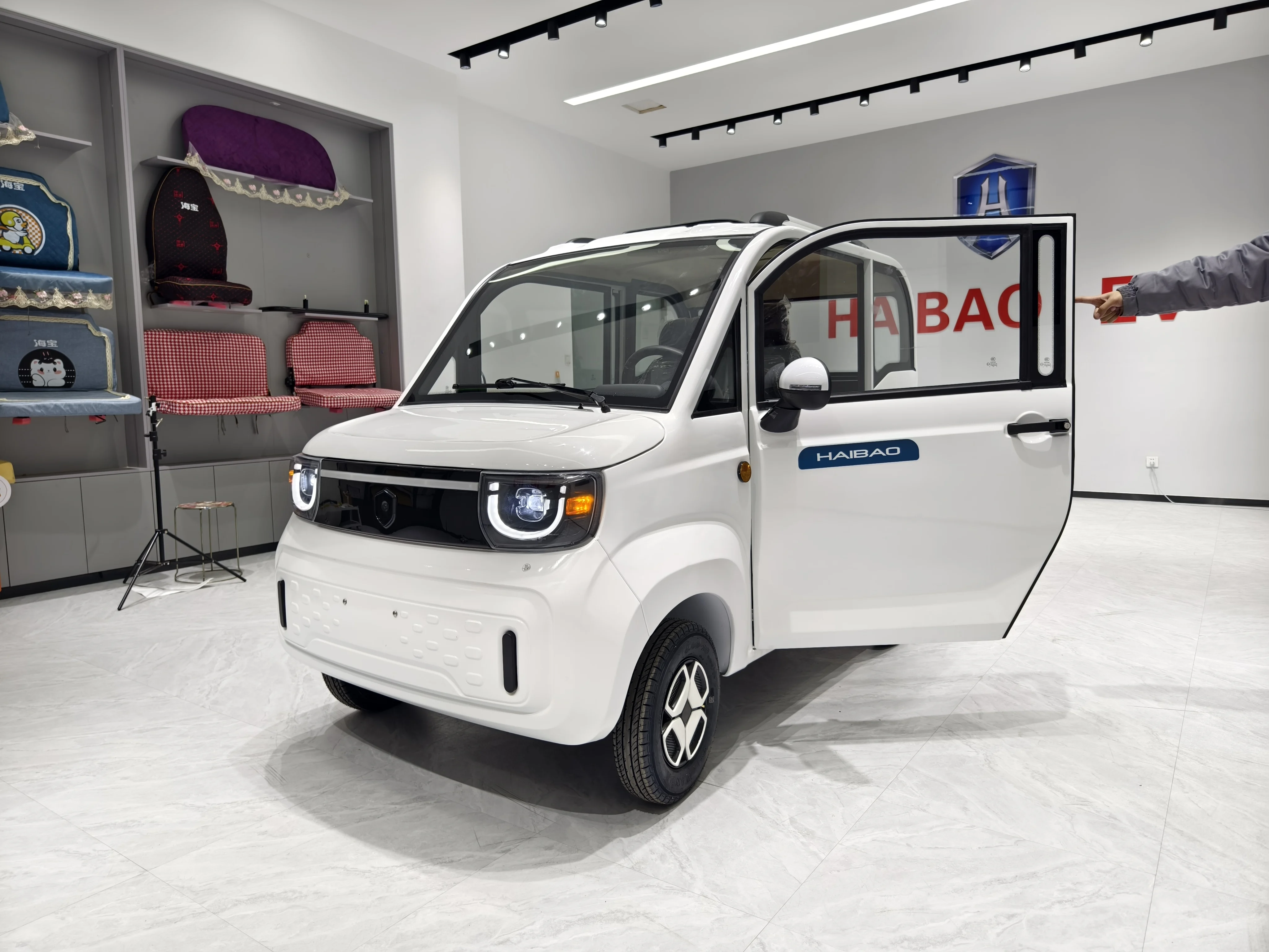 2024 Chinese Electric 2-Door Car - 3000W Motor, EEC Certified, 45km/h, Luxury Seats