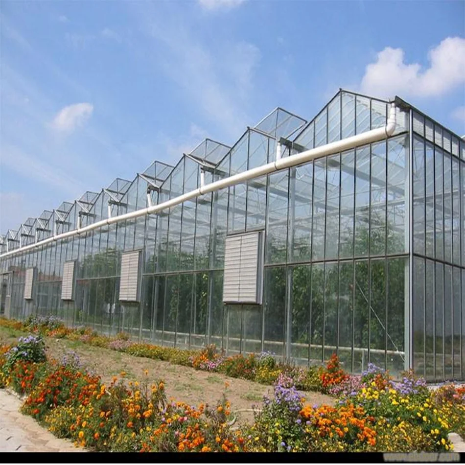  5mm Tempered glass high end agricultural crops and vegetables