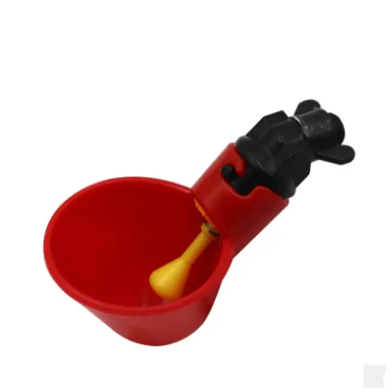 Automatic birds drinker chicken pigeon drinking bowl quail  water drinker with cup