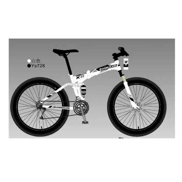 Factory Quality Variable Speed Full Carbon Mountain Bike Snow Bike