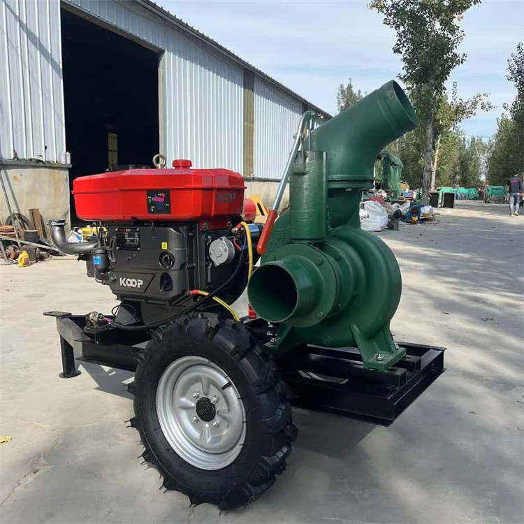 Fish pond pumping 6-inch water pump for farm irrigation with large diameter and high water output