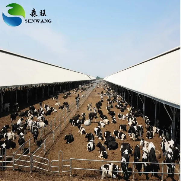 Высокое качество H балка строительный материал Стальная Конструкция Ангара сельскохозяйственные работы арочный ангарный дом для