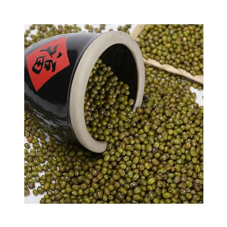 Dried Agricultural Product Edible Green Bulk Beans Mung Bean