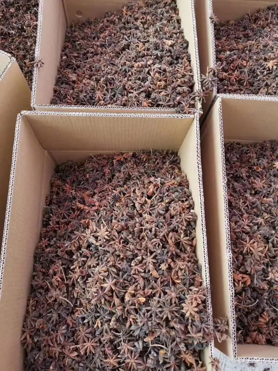 
China New crop star anise 