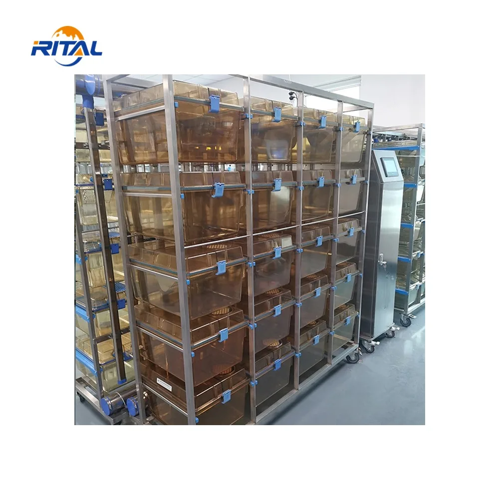 IVC system Polycarbonate laboratory rabbit breeding plastic cages Guinea Pig IVC System of 20 Cages