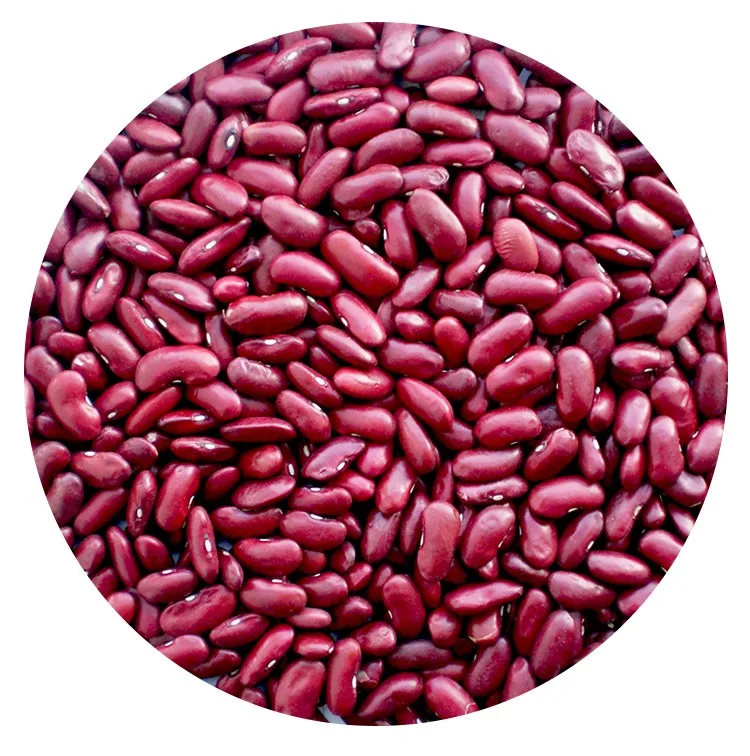 
High Quality and Best Selling Red Kidney Beans 