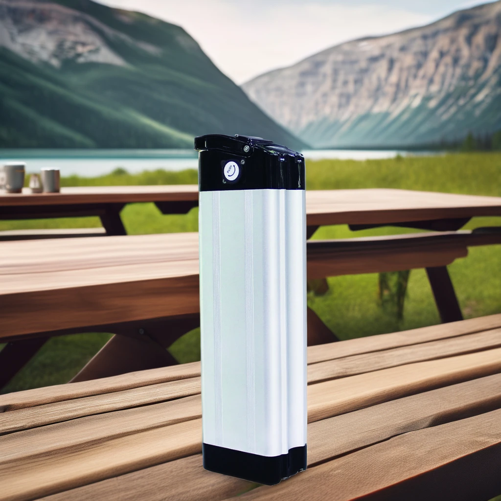 Customized Silver Fish 48v 52v 60v10ah 20ah 30ah 500w 1000w Battery For Electric Bike Monster Electric Bike Electric City Bike