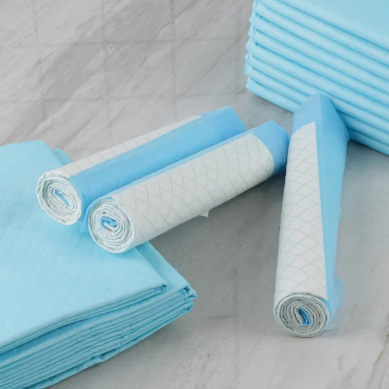 Disposable Dog Pet Training Pee Pads Ultra Absorbent Underpads Incontinence Puppy Bed Pads Unscented Portable for Outdoor Dog