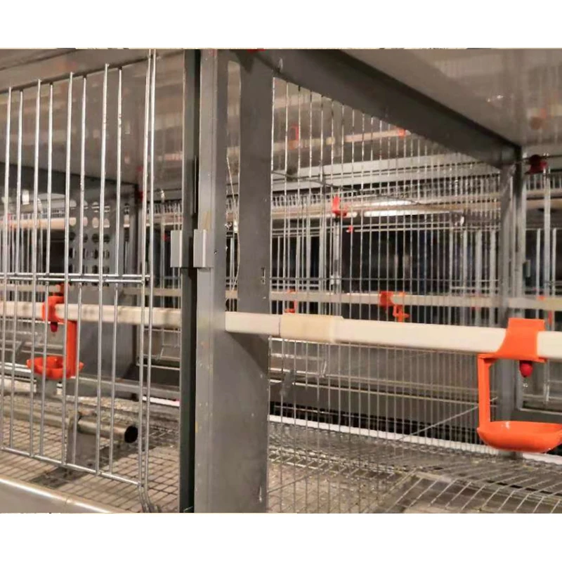 Chicken Coop Rooster Hen Mix Breeder Equipment Layer Chicken Battery Cage Chicken Cages for Farms