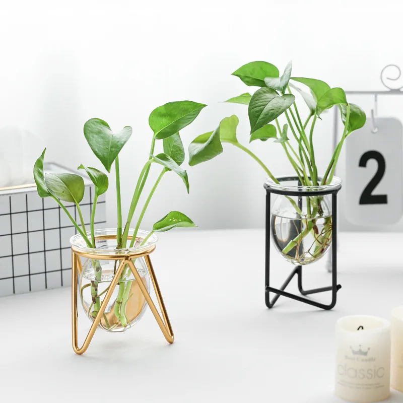 Glass Plant Terrarium Wooden Stand Plants Decoration Test Tube Vase Metal Vase Holder (1600523818160)