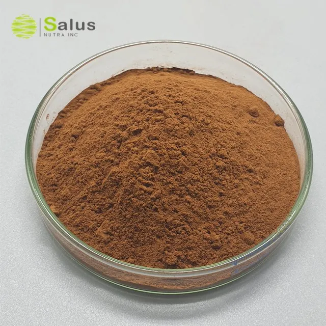 Top Quality Instant Black Tea Extract Powder