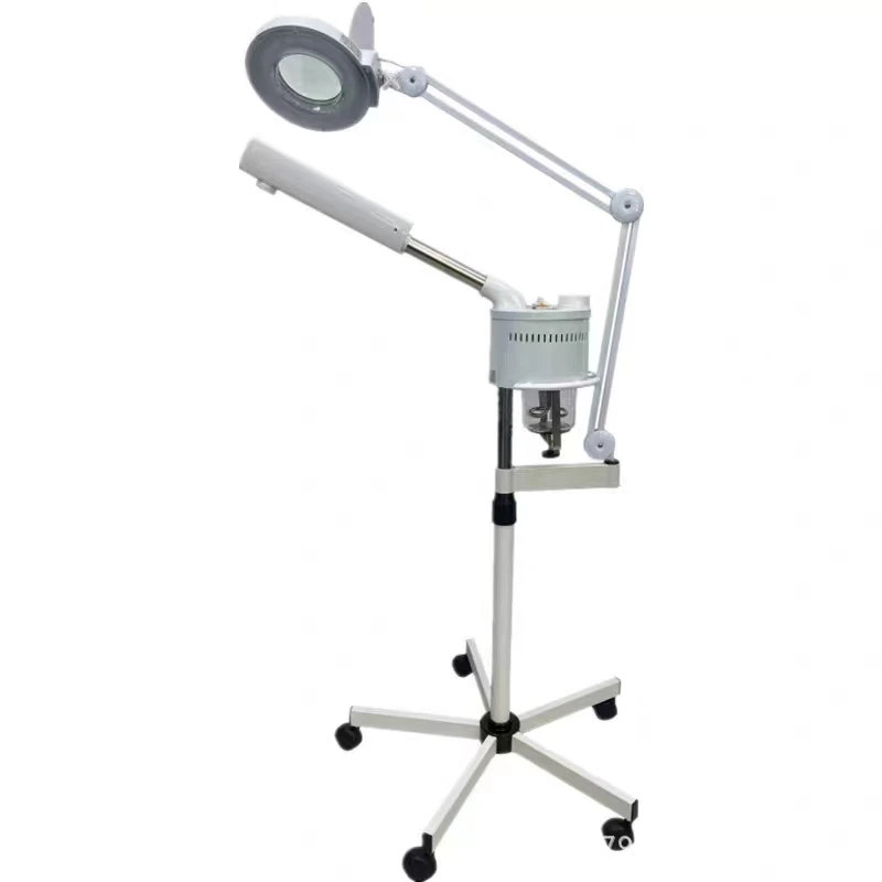 Wholesale Professional Beauty Salon Hot And Cool Facial Steamer with led half moon light