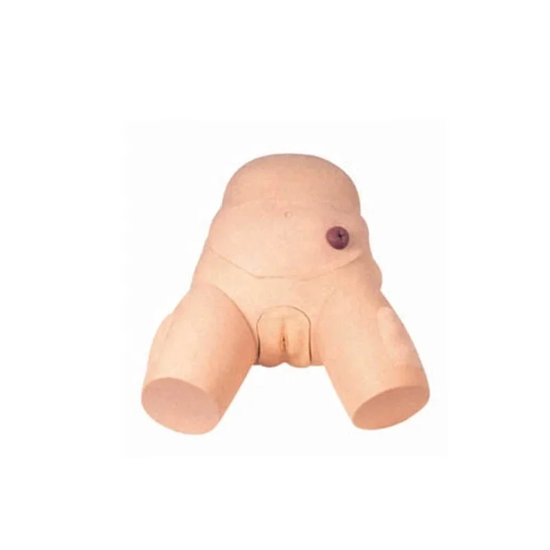 High PVC Urethral Catheterization Simulator, female Urethra Nursing Model