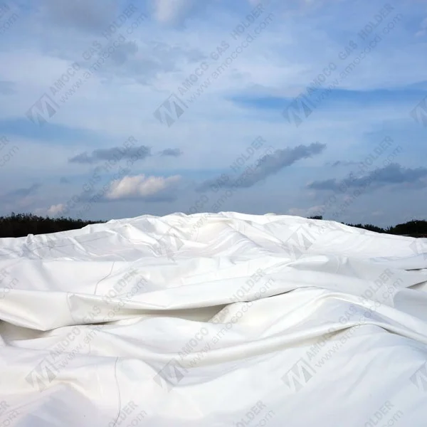 High Quality Membrane Biogas Storage Roof for Biogas Digester Tank in Turkey