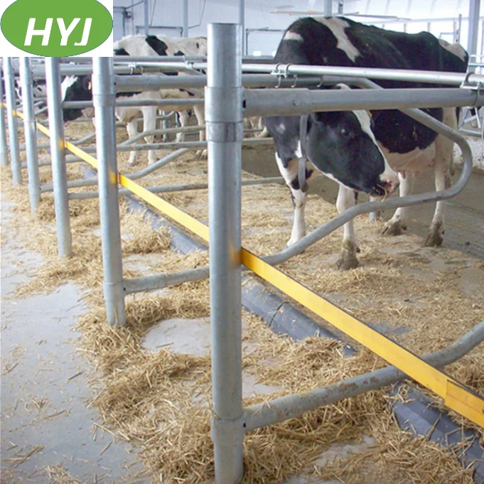 Portable Hot Sale Galvanized Dairy Cattle Feeding Cow Feeding Cattle Feeding From China Market
