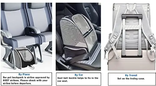 Accept Logo Customization Innovative Traveler Transparent Breathable Backpack Pet Carriers for Cats and Dogs