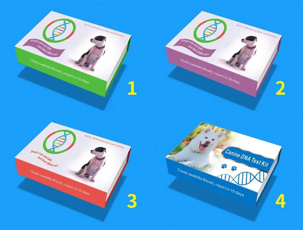 
kit animal swab kits breed pregnancy pet bird dna test kit 