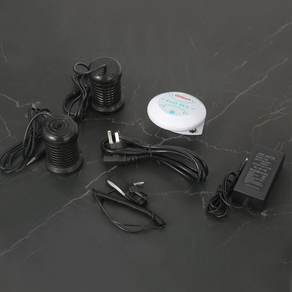 2024 High-tech Ionic Foot Cleanse Spa and New ion detox foot bath without basin