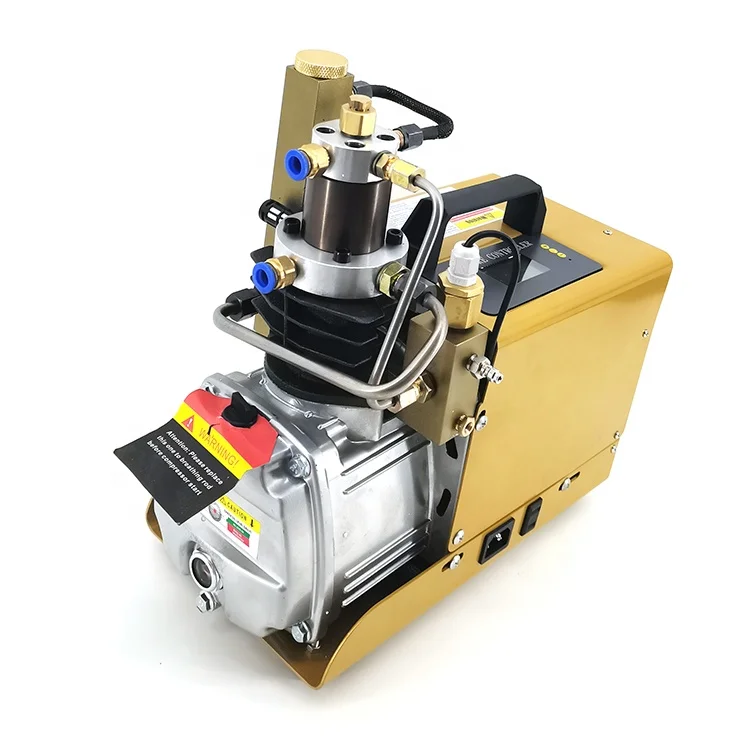 new portable 4500 psi Electric 30Mpa 110v220v high pressure air compressor pcp
