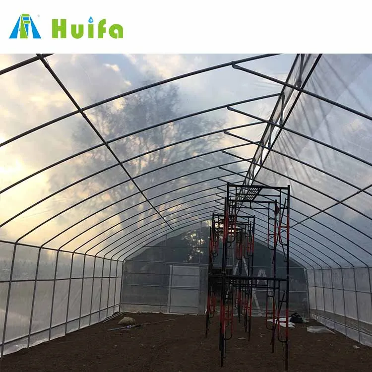 Low Price China Greenhouse With Hydroponic Systems