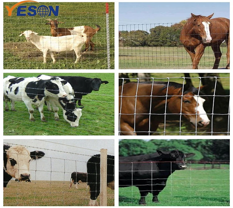 2.4m*50m Galvanized Farm Field Fence Wire Deer Fence, horse wire mesh fence, hog wire fence