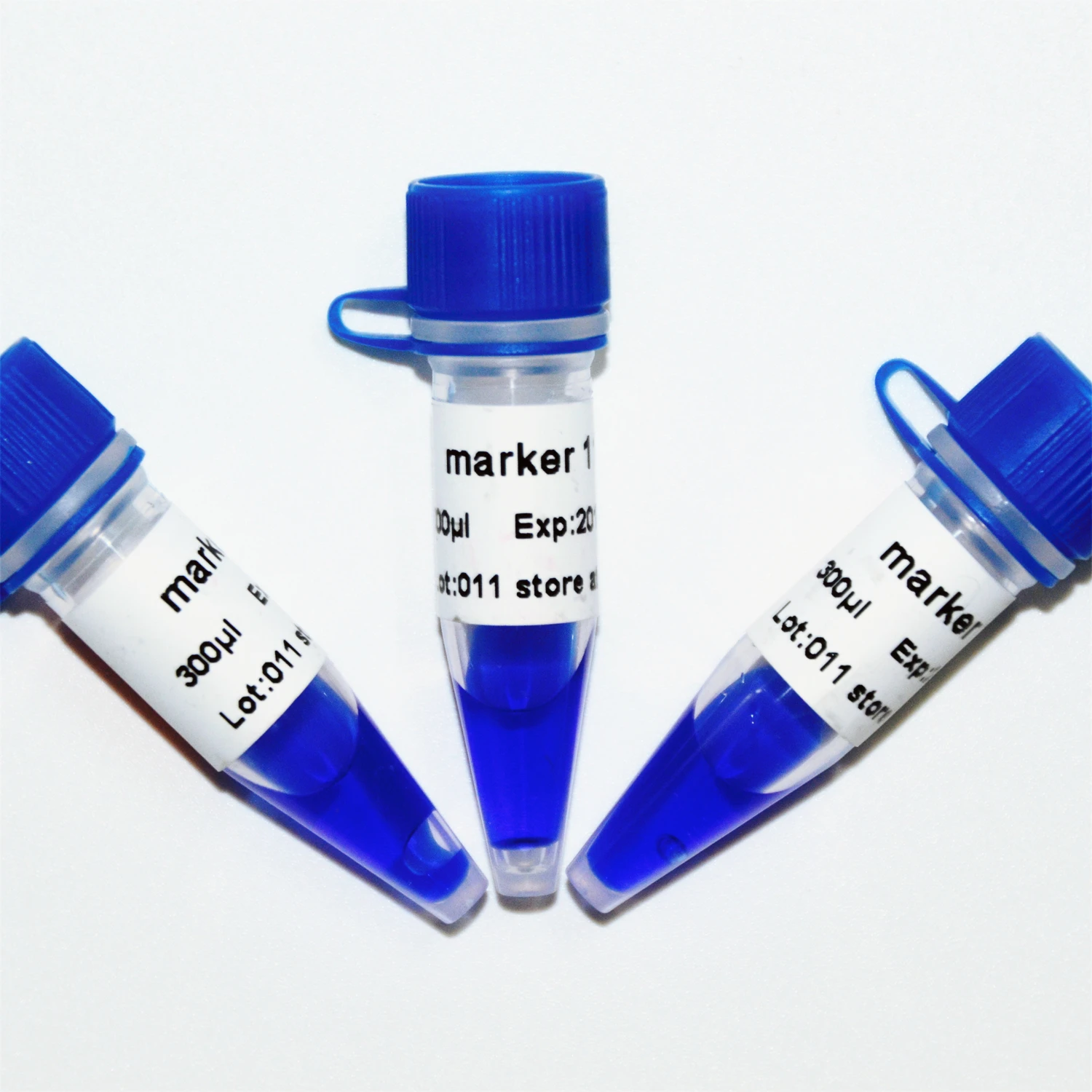 Marker 11, DNA ladder, OEM M1131/M1132