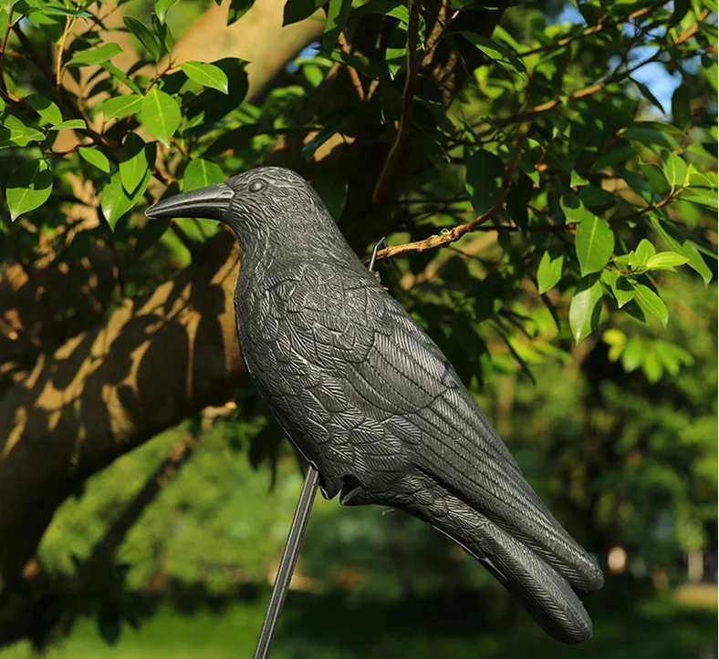 L&Y wholesale Outdoor hunting decoy Plastic black crow decoration plastic hunting decoy crow