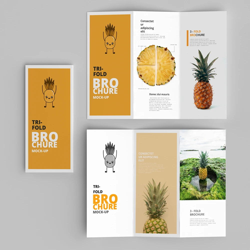 High Quality Custom Soft Touch Printing Tri-fold Paper Brochure For Fruit