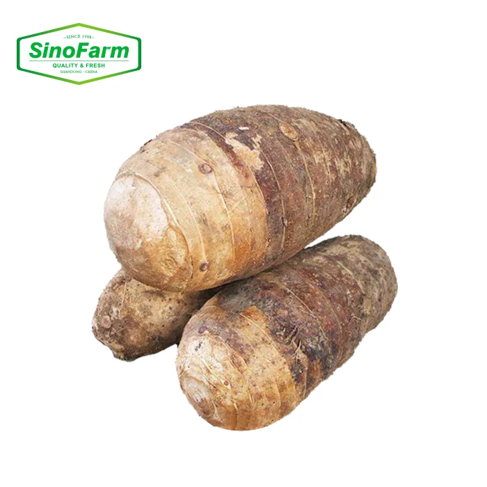 China Fresh Taro Vegetable Food Importer Chinese Supplier Wholesale Export Taro New Crop