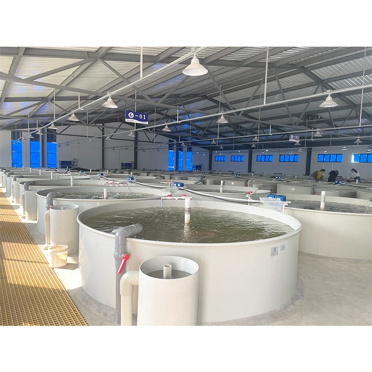 Indoor Recirculating Aquaculture System Aquaculture Malaysia/Ras Fish Farming System Recirculating Aquaculture