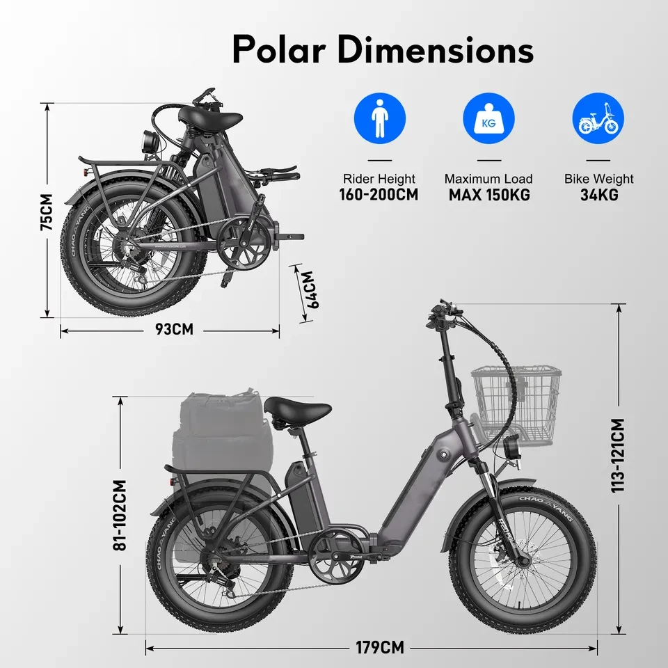 OEM Enduro Ebike Hybrid Cargo Bicycle 750W 48V 26AH 100km 20inch Fat Tire Electric Bike with Dual Battery