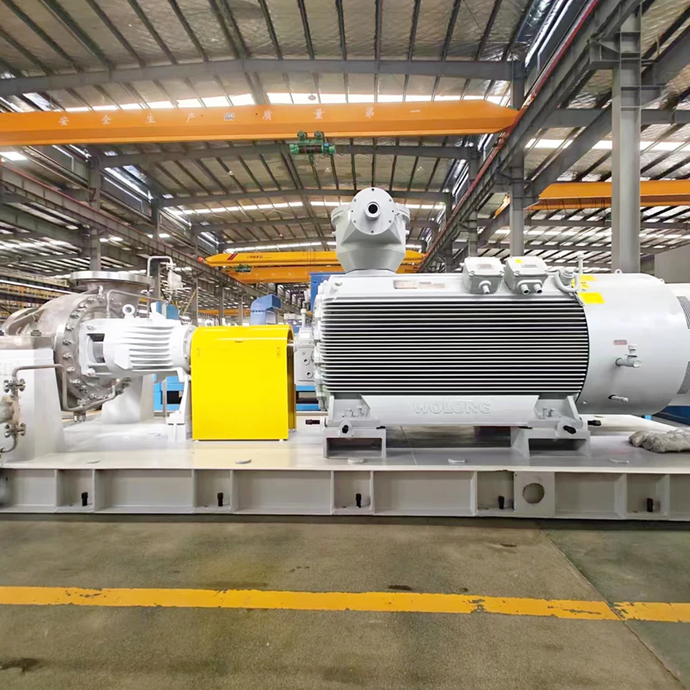 20,000 ton caustic soda Inorganic Membrane Filtering  Feeding Pump Crude Brine Capacity 35 m³/h Head 25 m Temperature 60 ℃