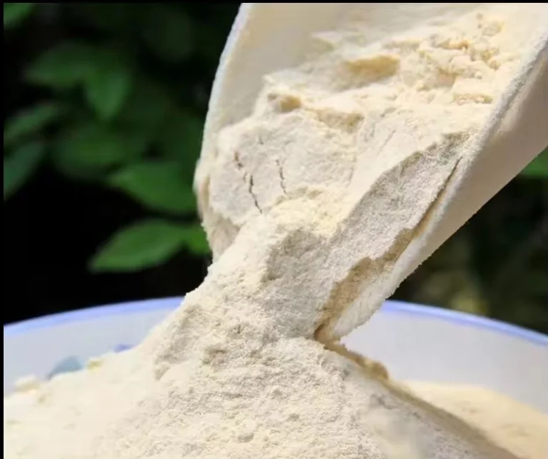Vital Wheat Gluten CAS No.8002-80-0 Pure Nature Food Organic Hydrolyzed Halal bread making Flour Powder 25kg Price