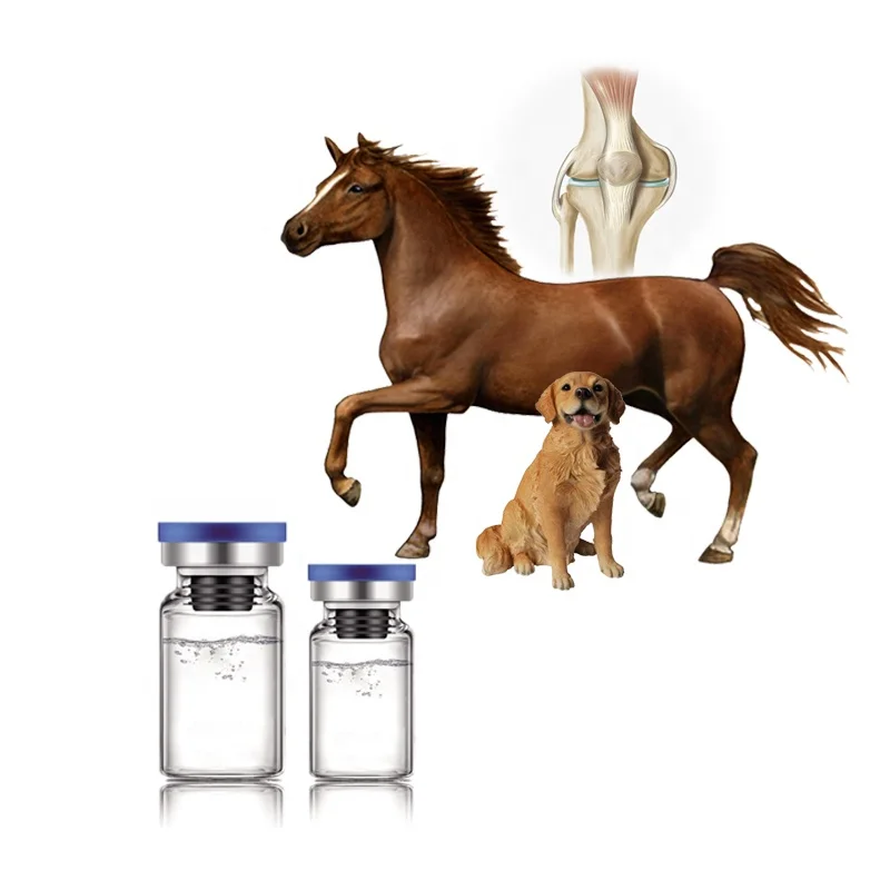 Соединительный хондроитин сульфат Глюкозамин для Инъекций животных CS раствор для инъекций