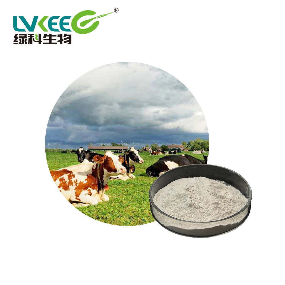 
Organic Bio powder for Pilgets/Chick/Cattle 200BL Bacillus Licheniformis Feed Grade from China Lvkee 
