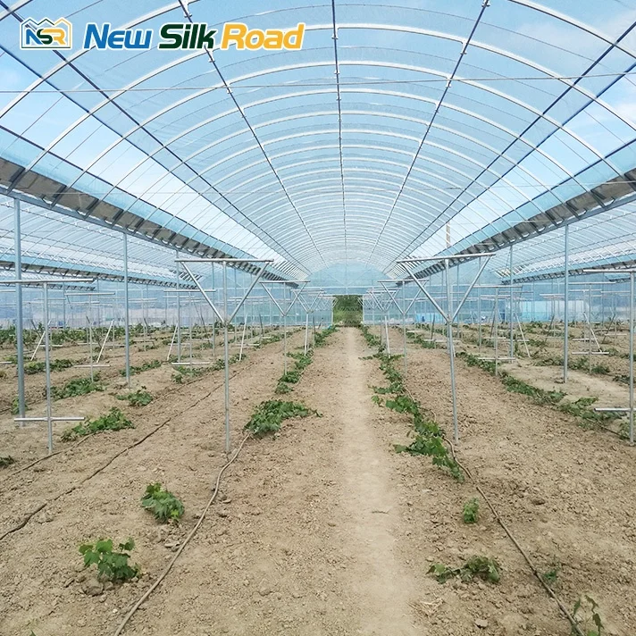 NSR Greenhouse Multi-Span Economical Plastic Tunnel Orangerie Greenhouse For Sale