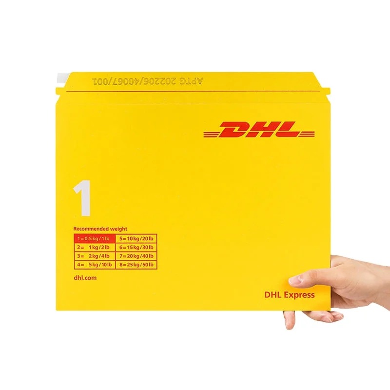 Custom Recycled Biodegradable Kraft Cardboard Padded Mailing Bags Express Shipping Mailer with a Bag