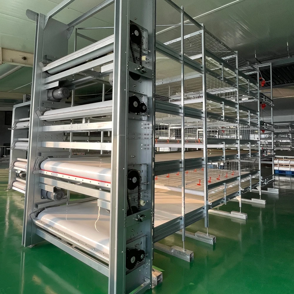 Hightop H Type 8 Tiers Vertical Automatic Harvesting Broiler Battery Cage For  Broiler Poultry Farm