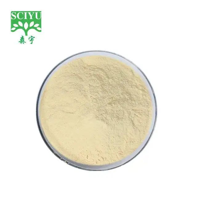 Food Grade Camphor Tree Extract Powder 30% Polysaccharides Antrodia Camphorata Herbal Extract Drum Packaging Health Food