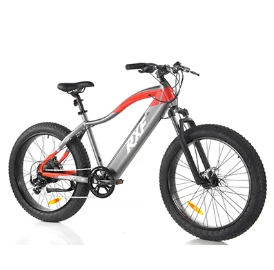 Amazon Hot Selling 750W 1000W Motor E-Bike Fat Tire Electric Mountain Bike Fatbike Electric Bicycle Bike