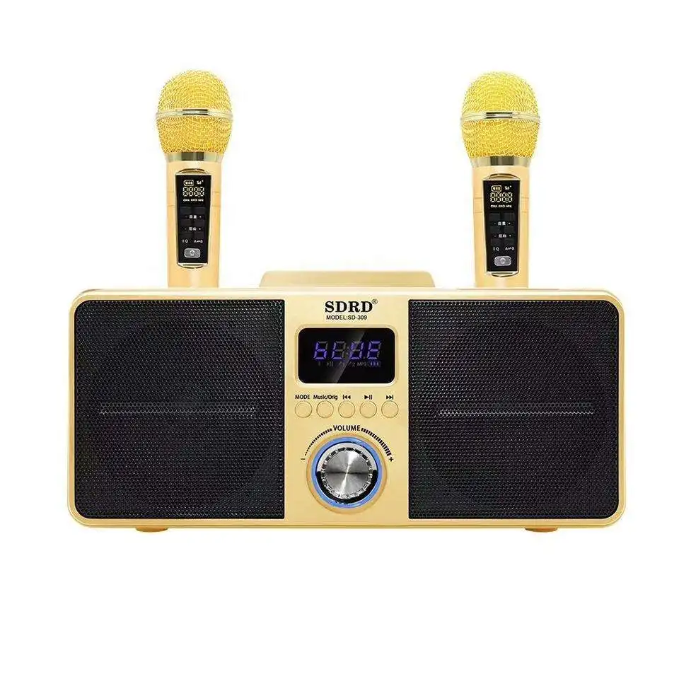SD 309 30W subwoofer speaker With Double Microphones Home Party KTV 2 IN 1 portable outdoor wireless speaker Karaoke