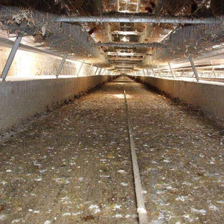 Poultry Chicken Farm Industrial Electric Animal Feces Cleaning Machine Chicken House Automatic Chicken Manure Cleaner/Scraper