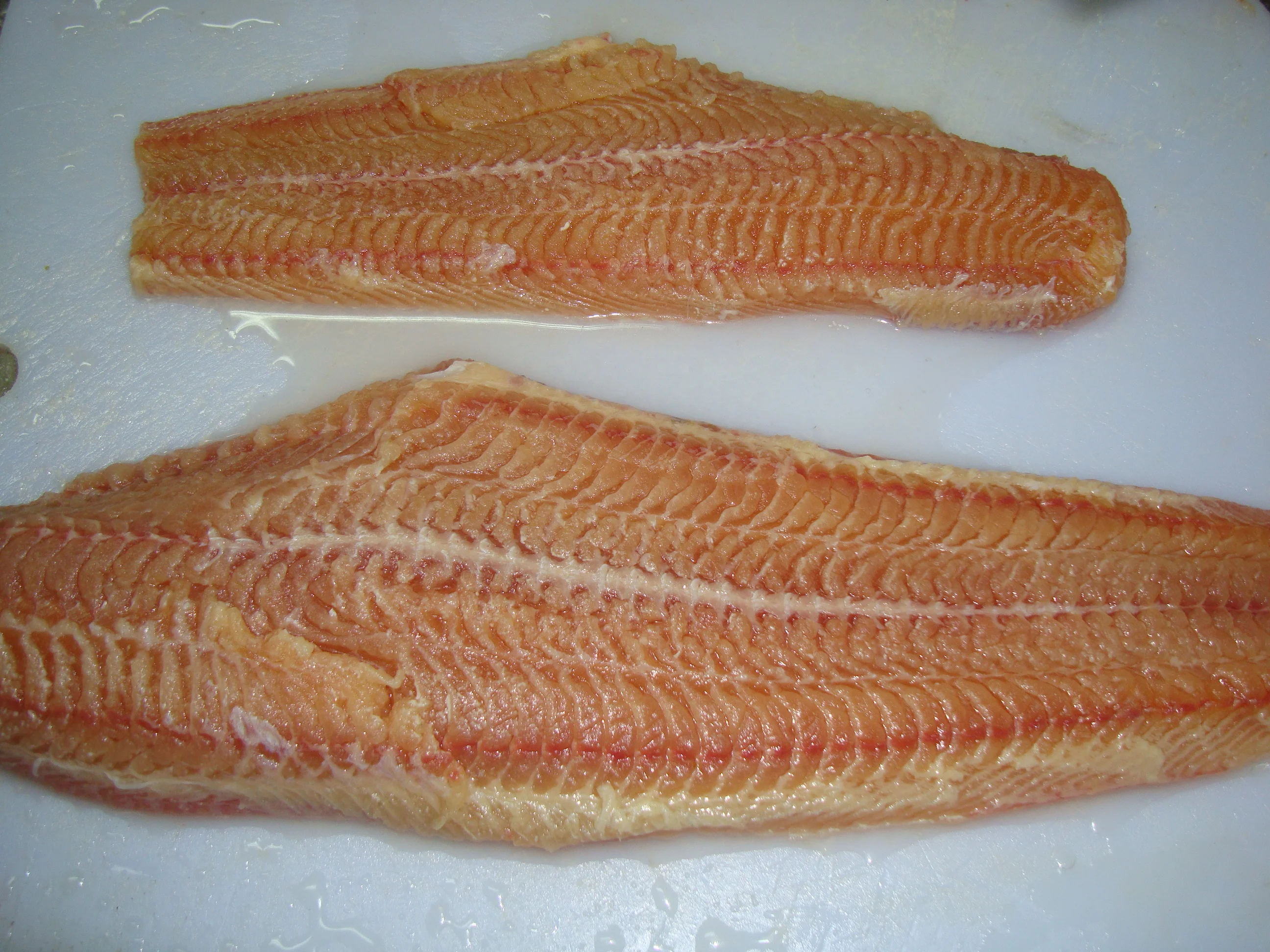 Frozen Catfish HGT / Catfish Fillets