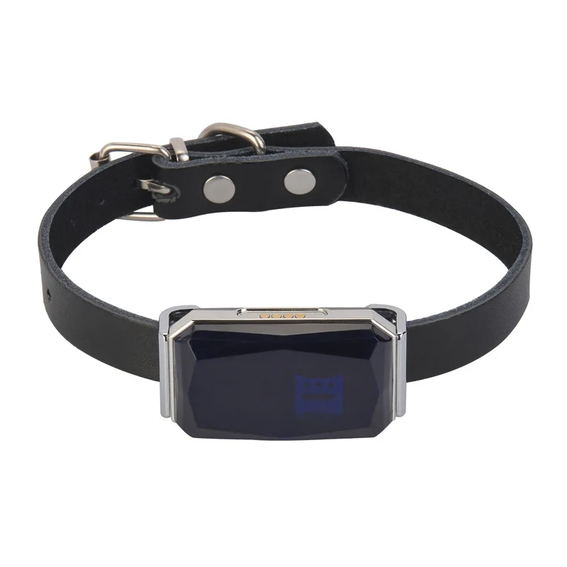 G12 pet collar locator smart wear gps puppy cat waterproof anti-lost anti-theft tracker French bulldog Chihuahua accessories
