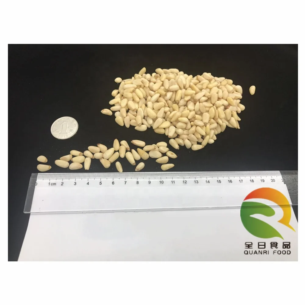 
China High Quality Pine Nut Kernels 