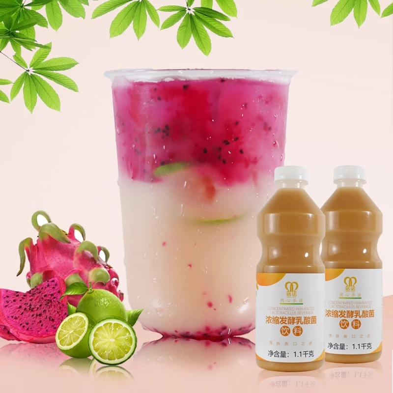 1.1KG halal Fruit Tea Partner Probiotics for taiwan bubble milk tea ingredients Original lactic acid bacteria