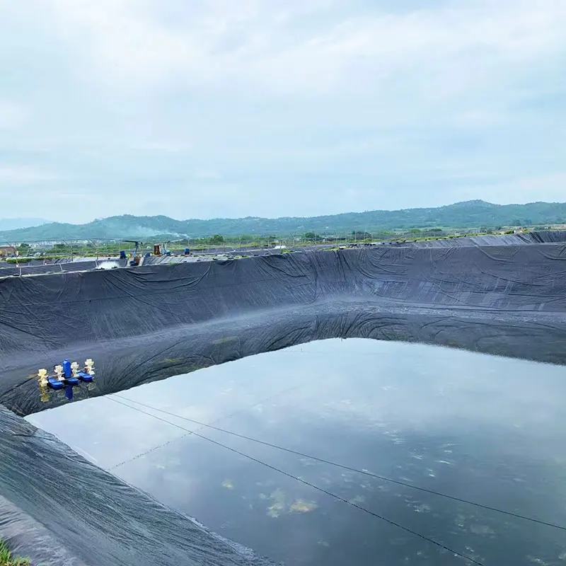 Anti-aging and Durable Impermeable Waterproof LEMA Anti-seepage Geomembrane for Fish Farm Pond Liner