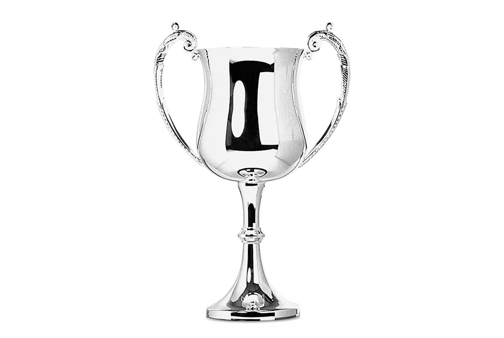 Silver Metal Trophy Cup Black Plastic Base Trophy Cup Award
