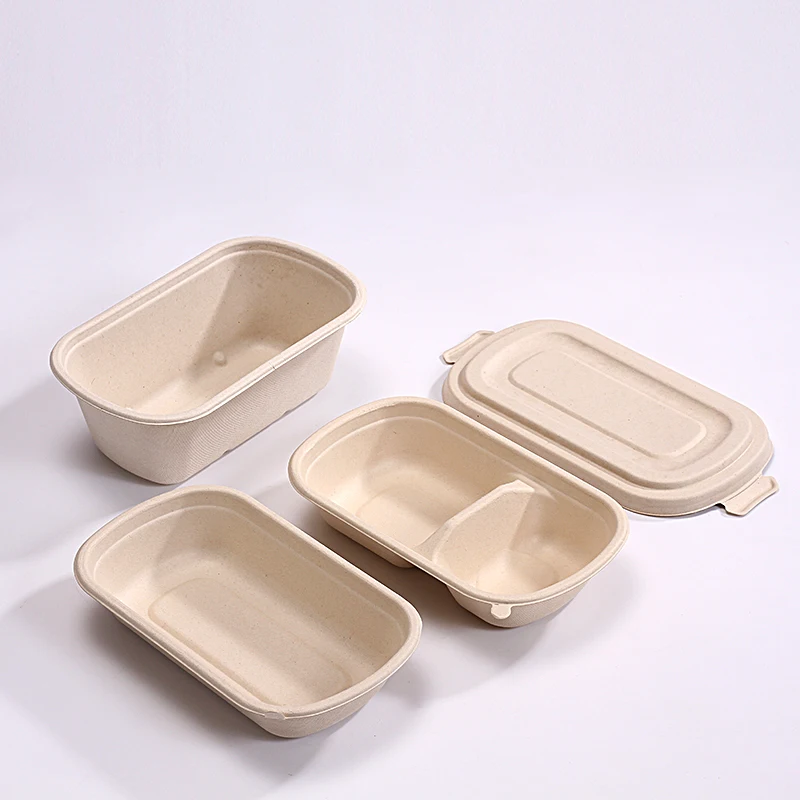 Eco friendly disposable bagasse dinnerware sets biodegradable packaging for food