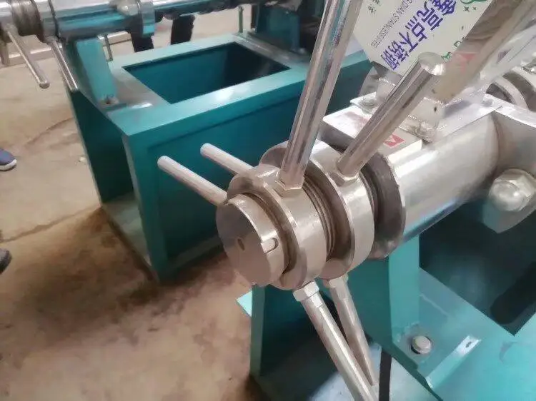 High Efficiency Sunflower and Walnut Oil Making Machine Includes Extraction Refining Filling for Seed Raw Material